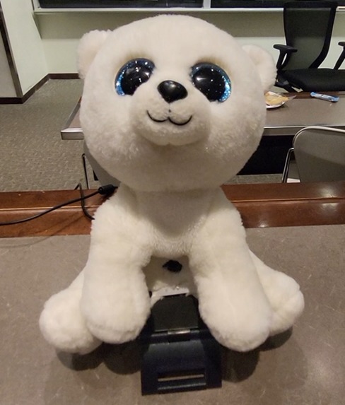 Identibear 1