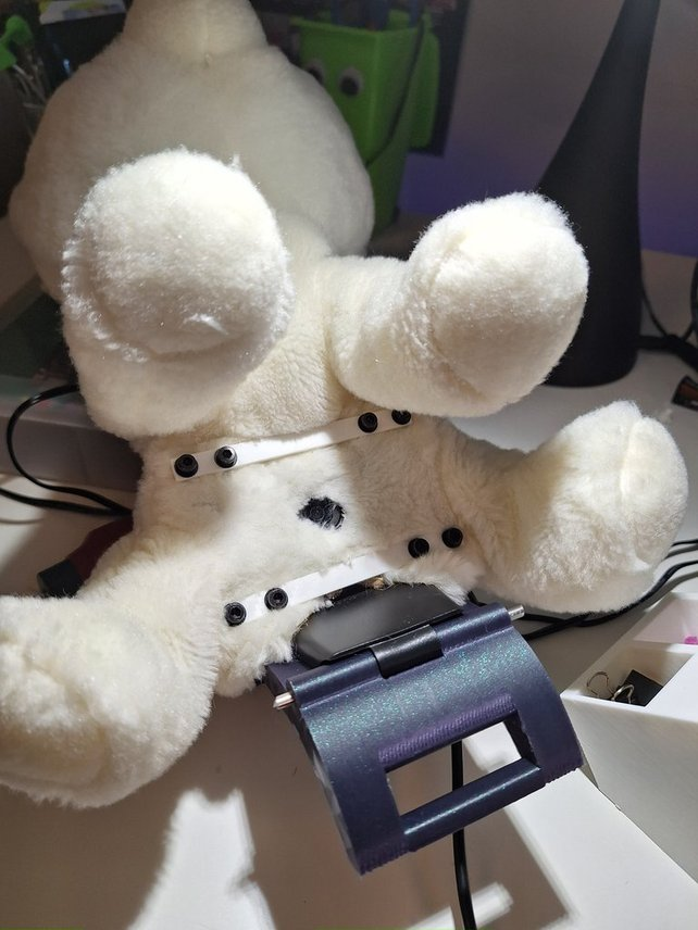Hidden camera mount